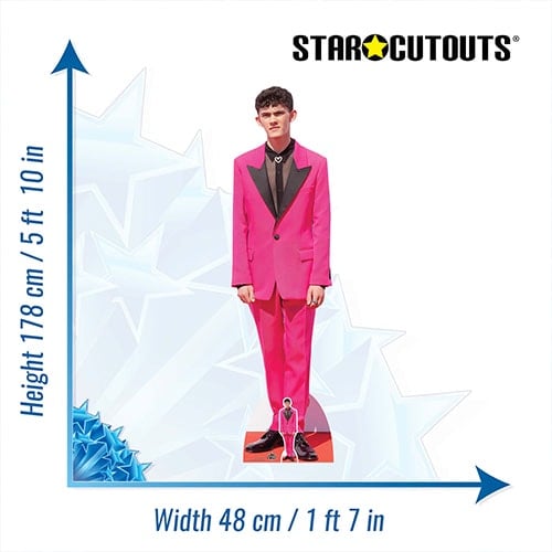 Joe Locke Lifesize Cardboard Cutout 178cm Product Gallery Image